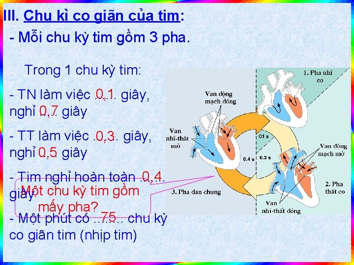 III. Chu kì co giãn của tim: Mỗi chu kỳ tim gồm 3 pha.