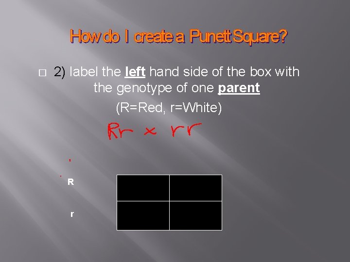 How do I create a Punett Square? � 2) label the left hand side