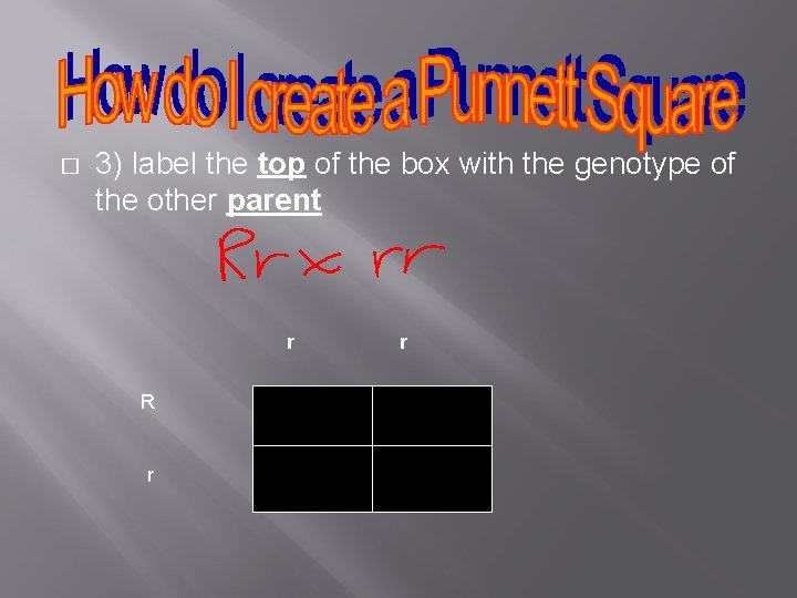 � 3) label the top of the box with the genotype of the other