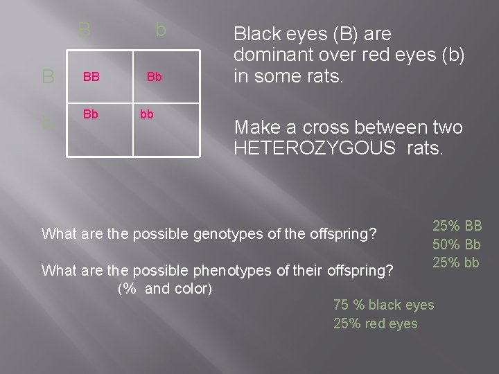 B B BB b Bb bb Black eyes (B) are dominant over red eyes