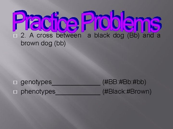 � 2. A cross between a black dog (Bb) and a brown dog (bb)