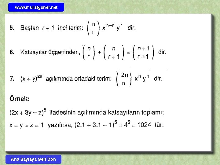 www. muratguner. net Ana Sayfaya Geri Dön 