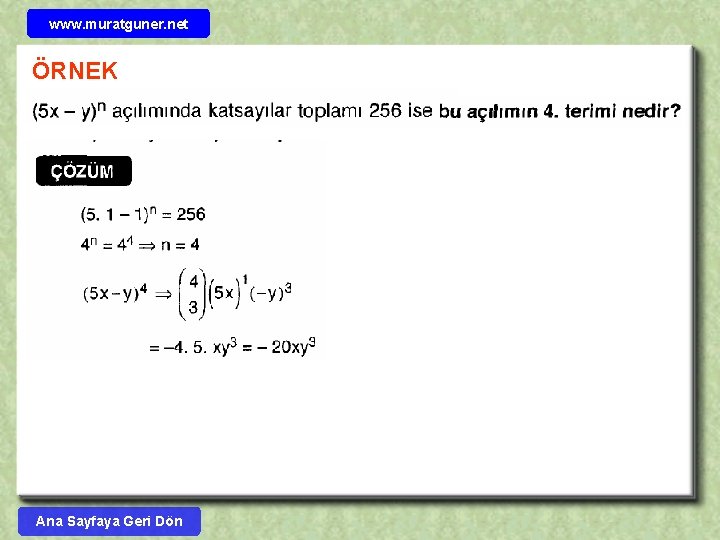 www. muratguner. net ÖRNEK Ana Sayfaya Geri Dön 