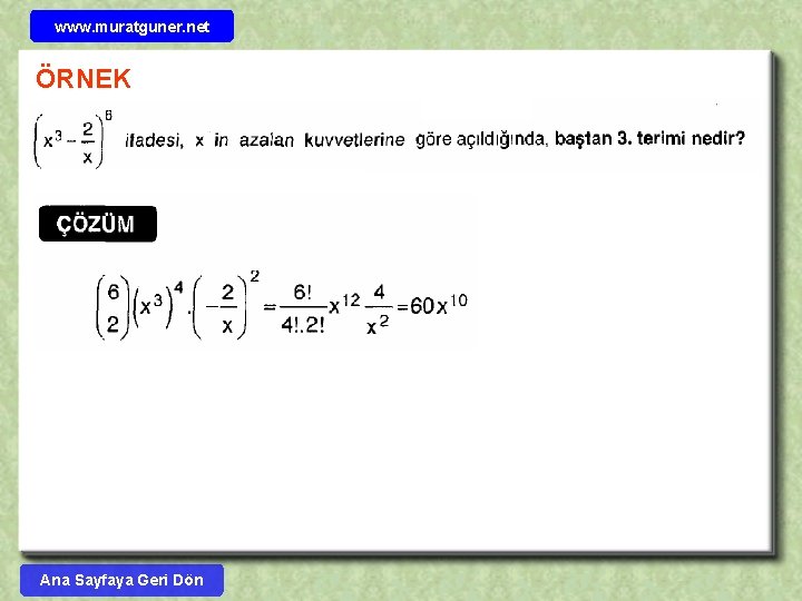 www. muratguner. net ÖRNEK Ana Sayfaya Geri Dön 