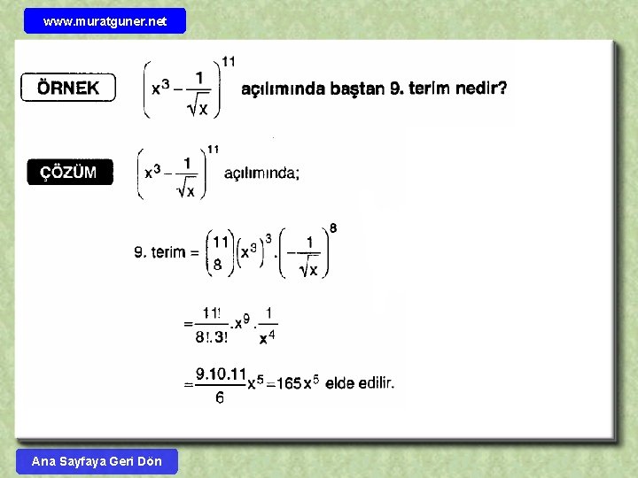 www. muratguner. net Ana Sayfaya Geri Dön 