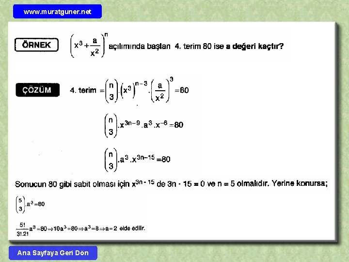 www. muratguner. net Ana Sayfaya Geri Dön 