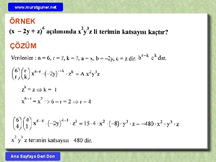 www. muratguner. net ÖRNEK ÇÖZÜM Ana Sayfaya Geri Dön 