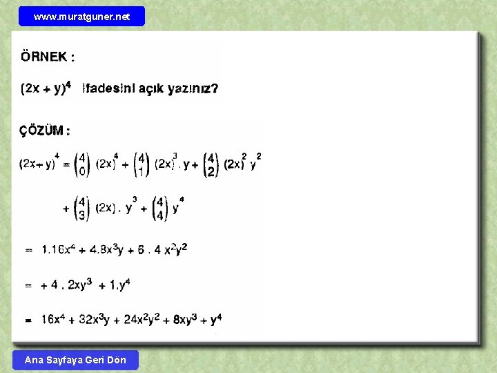 www. muratguner. net Ana Sayfaya Geri Dön 