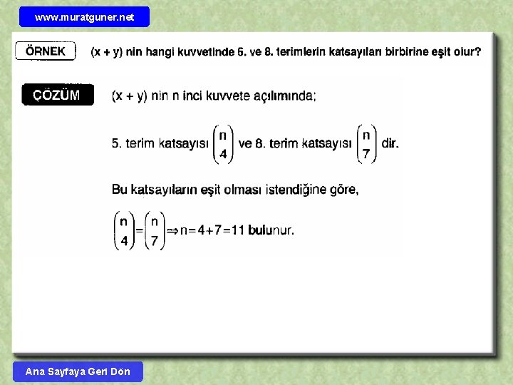 www. muratguner. net Ana Sayfaya Geri Dön 