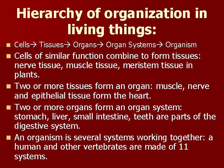 Hierarchy of organization in living things: n Cells Tissues Organ Systems Organism Cells of