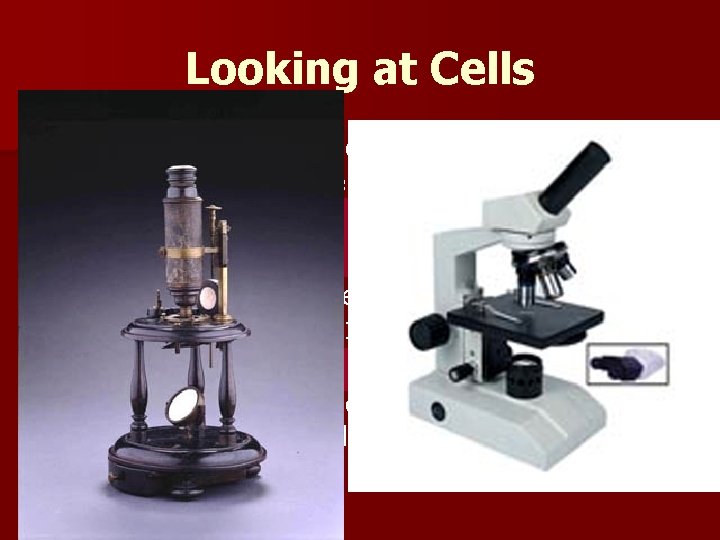 Looking at Cells n n Microscopes: A basic biology tool that allowed for the