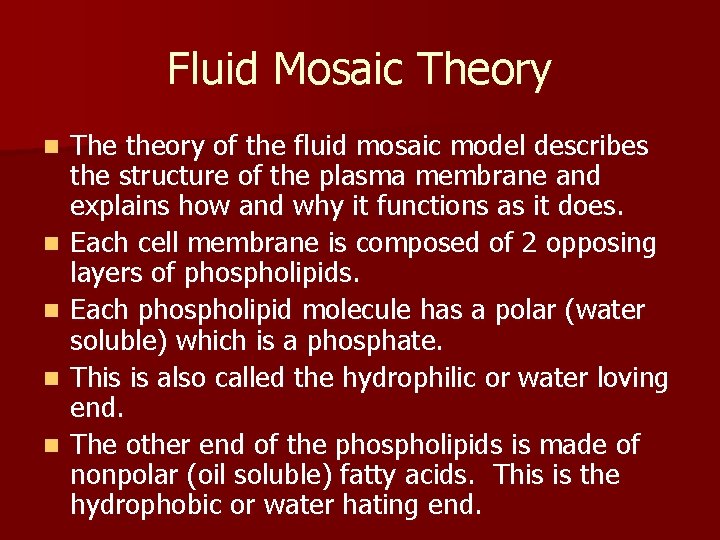 Fluid Mosaic Theory n n n The theory of the fluid mosaic model describes