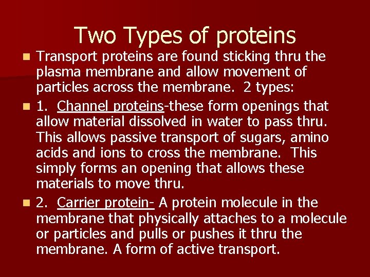 Two Types of proteins Transport proteins are found sticking thru the plasma membrane and