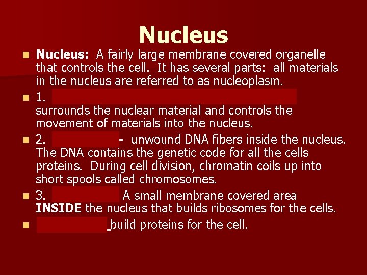 Nucleus n n n Nucleus: A fairly large membrane covered organelle that controls the