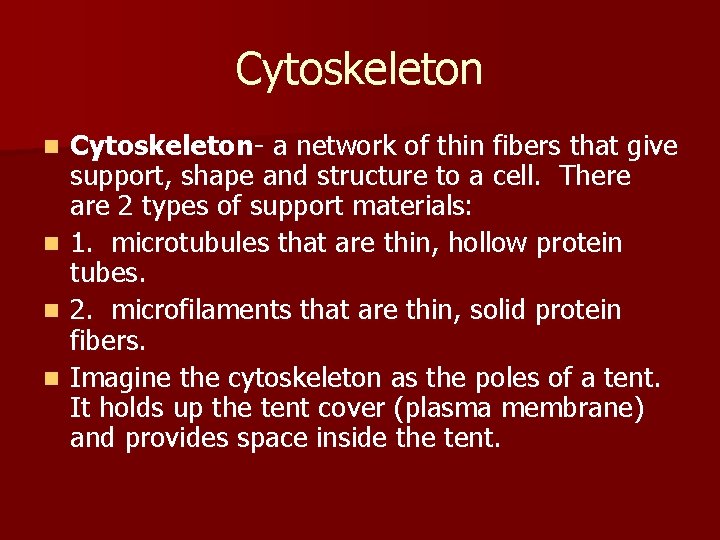 Cytoskeleton n n Cytoskeleton- a network of thin fibers that give support, shape and
