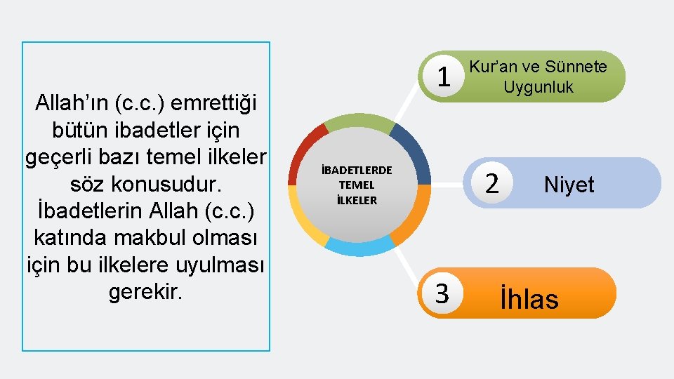 Allah’ın (c. c. ) emrettiği bütün ibadetler için geçerli bazı temel ilkeler söz konusudur.