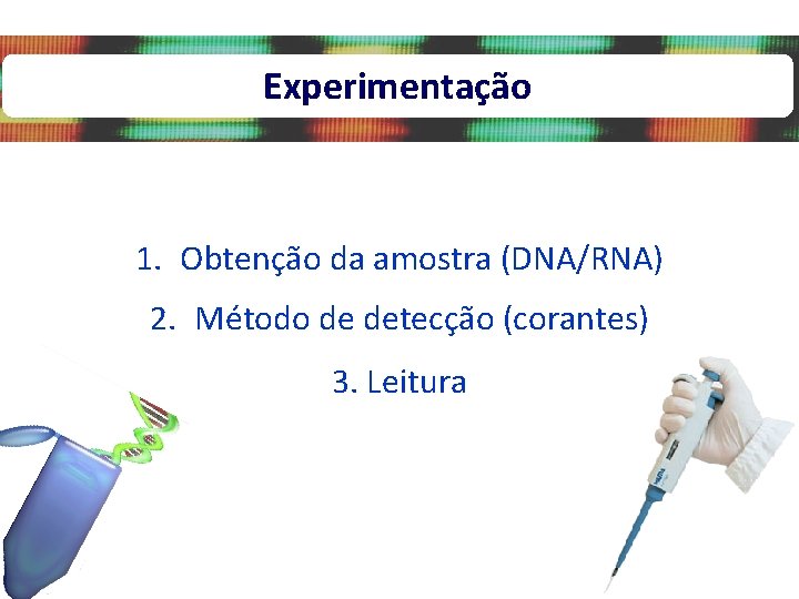 Experimentação 1. Obtenção da amostra (DNA/RNA) 2. Método de detecção (corantes) 3. Leitura 