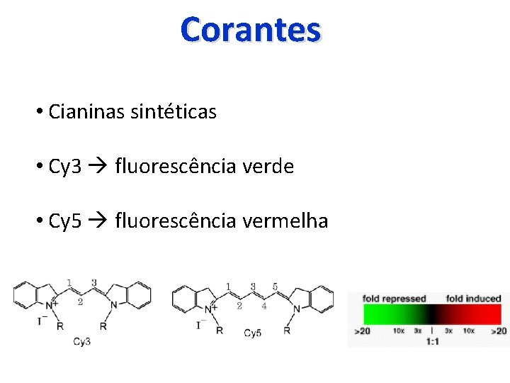 Corantes • Cianinas sintéticas • Cy 3 fluorescência verde • Cy 5 fluorescência vermelha