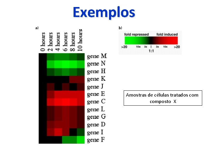 Exemplos Amostras de células tratados composto X 