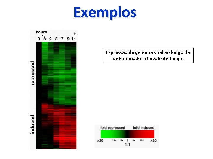 Exemplos Expressão de genoma viral ao longo de determinado intervalo de tempo 