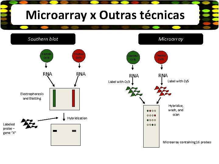 Microarray x Outras técnicas Southern blot Control Cells RNA Microarray Treated Cells RNA Control