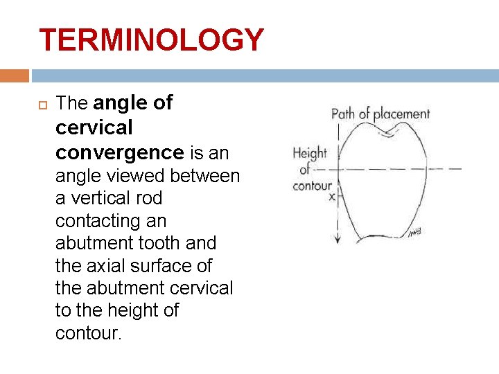 TERMINOLOGY The angle of cervical convergence is an angle viewed between a vertical rod