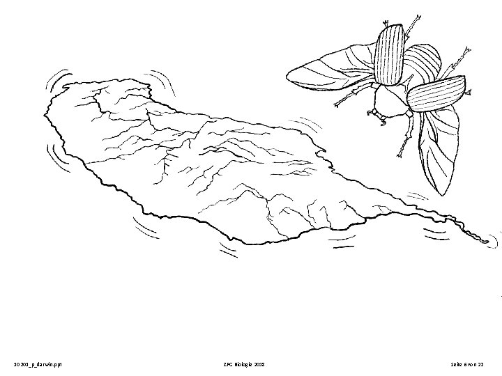 10201_p_darwin. ppt ZPG Biologie 2018 Seite 6 von 22 