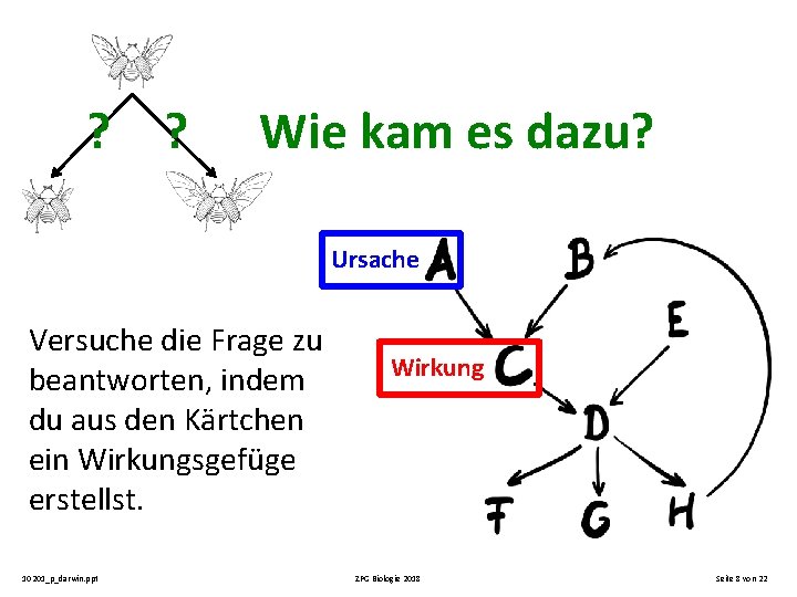 ? ? Wie kam es dazu? Ursache Versuche die Frage zu beantworten, indem du