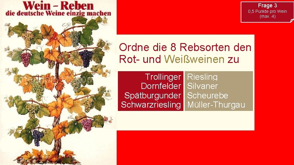 Frage 3 0, 5 Punkte pro Wein (max. 4) Ordne die 8 Rebsorten den