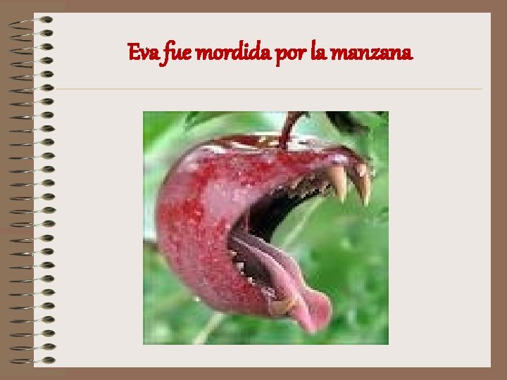 Eva fue mordida por la manzana 