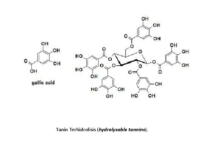 Tanin Terhidrolisis (hydrolysable tannins). 