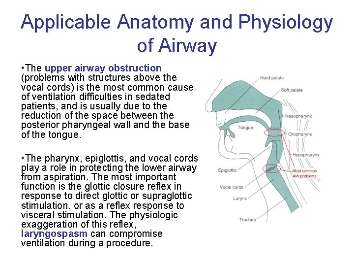 Applicable Anatomy and Physiology of Airway • The upper airway obstruction (problems with structures
