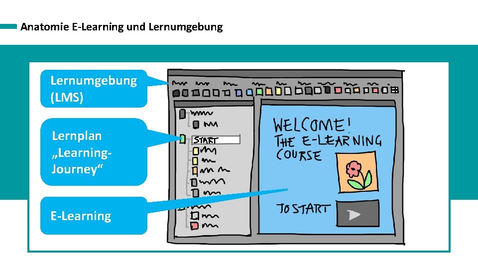 Anatomie E-Learning und Lernumgebung (LMS) Lernplan „Learning. Journey“ E-Learning 