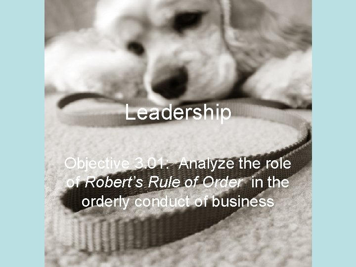 Leadership Objective 3. 01: Analyze the role of Robert’s Rule of Order in the