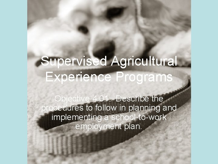Supervised Agricultural Experience Programs Objective 4. 01: Describe the procedures to follow in planning
