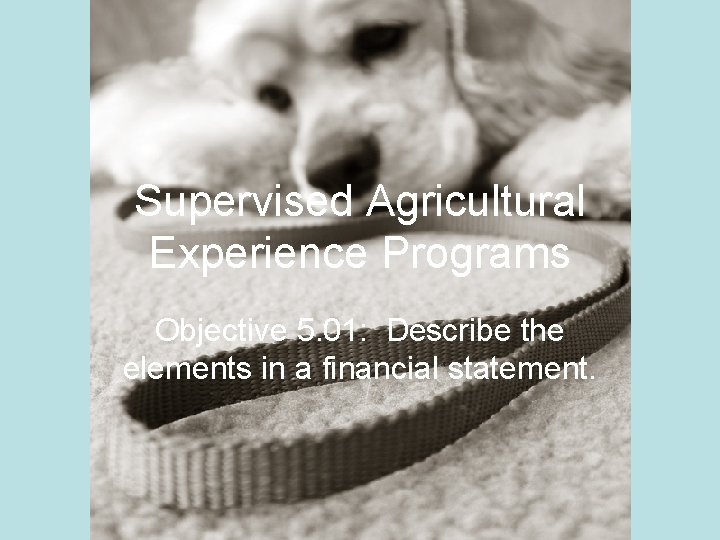 Supervised Agricultural Experience Programs Objective 5. 01: Describe the elements in a financial statement.