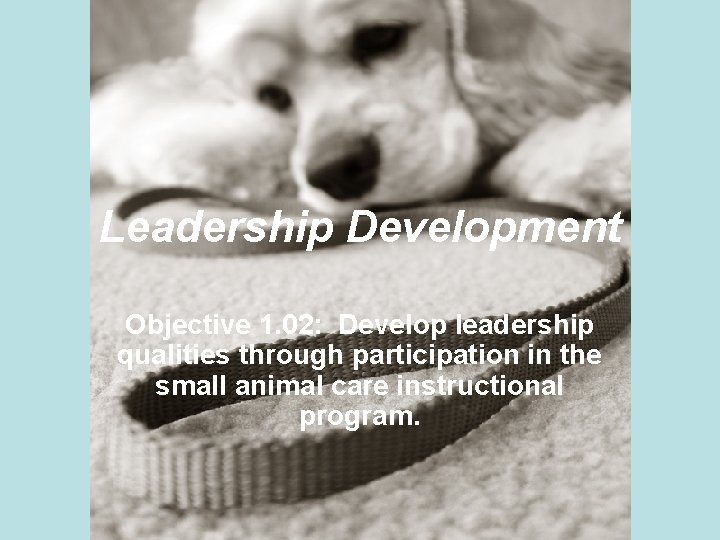 Leadership Development Objective 1. 02: Develop leadership qualities through participation in the small animal