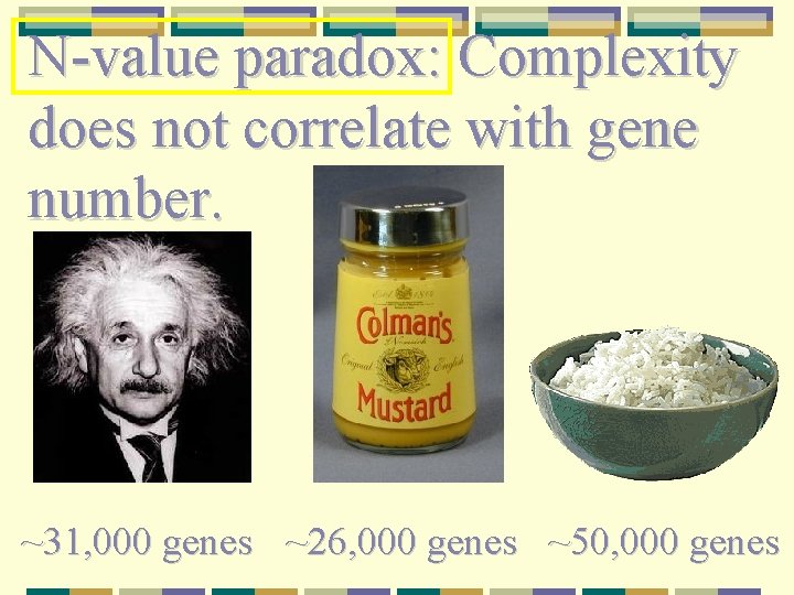 N-value paradox: Complexity does not correlate with gene number. ~31, 000 genes ~26, 000