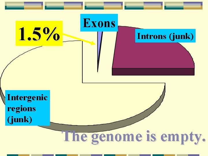 1. 5% Exons Introns (junk) Intergenic regions (junk) The genome is empty. 