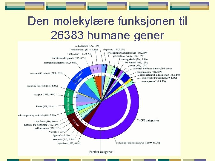 Den molekylære funksjonen til 26383 humane gener 