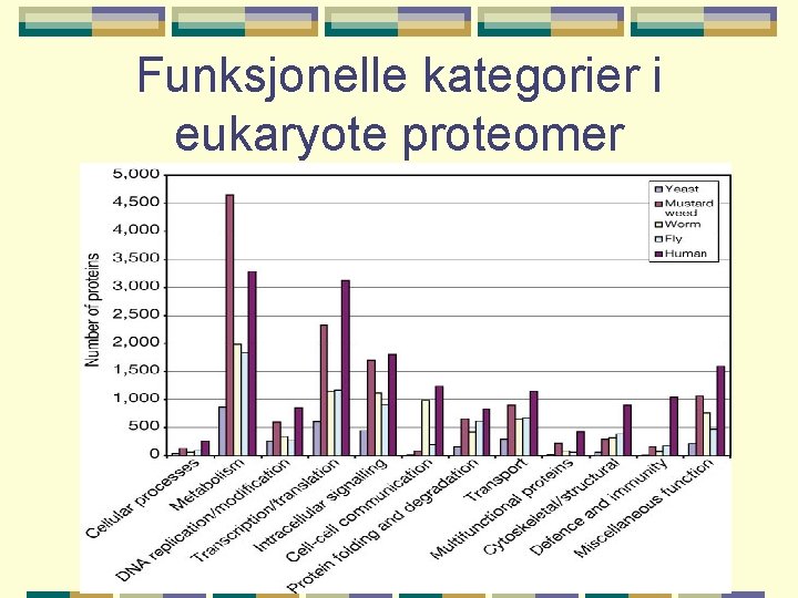 Funksjonelle kategorier i eukaryote proteomer 