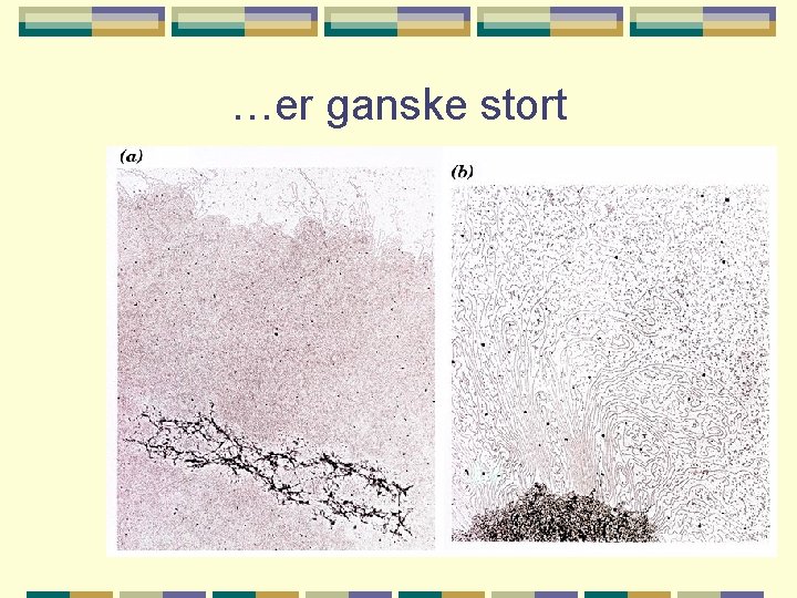 …er ganske stort 