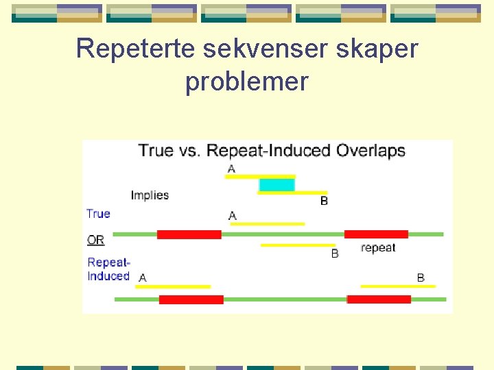 Repeterte sekvenser skaper problemer 