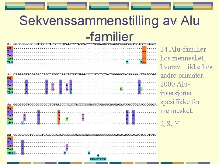 Sekvenssammenstilling av Alu -familier 14 Alu-familier hos mennesket, hvorav 1 ikke hos andre primater.