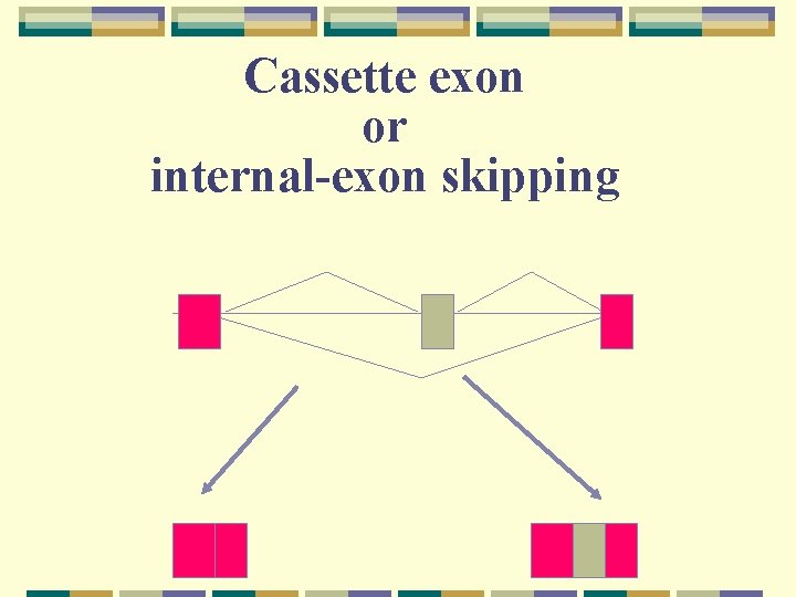 Cassette exon or internal-exon skipping 
