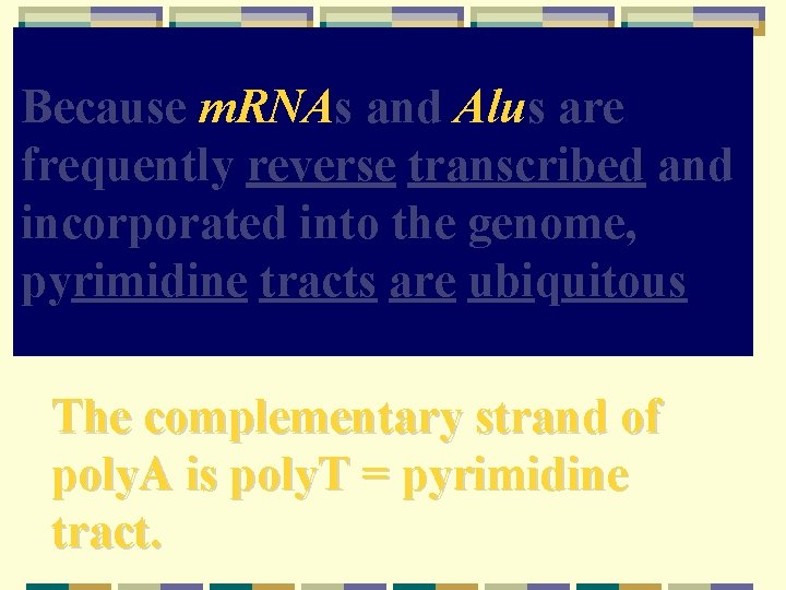 Because m. RNAs and Alus are frequently reverse transcribed and incorporated into the genome,