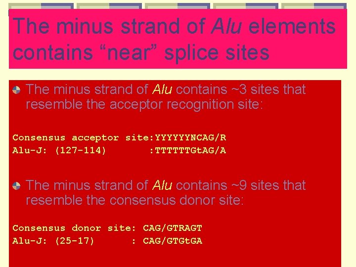 The minus strand of Alu elements contains “near” splice sites The minus strand of