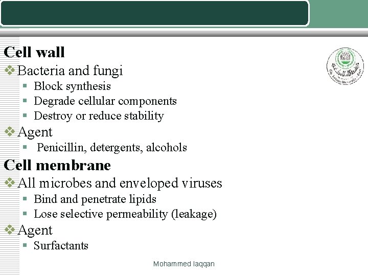 Cell wall v Bacteria and fungi § Block synthesis § Degrade cellular components §