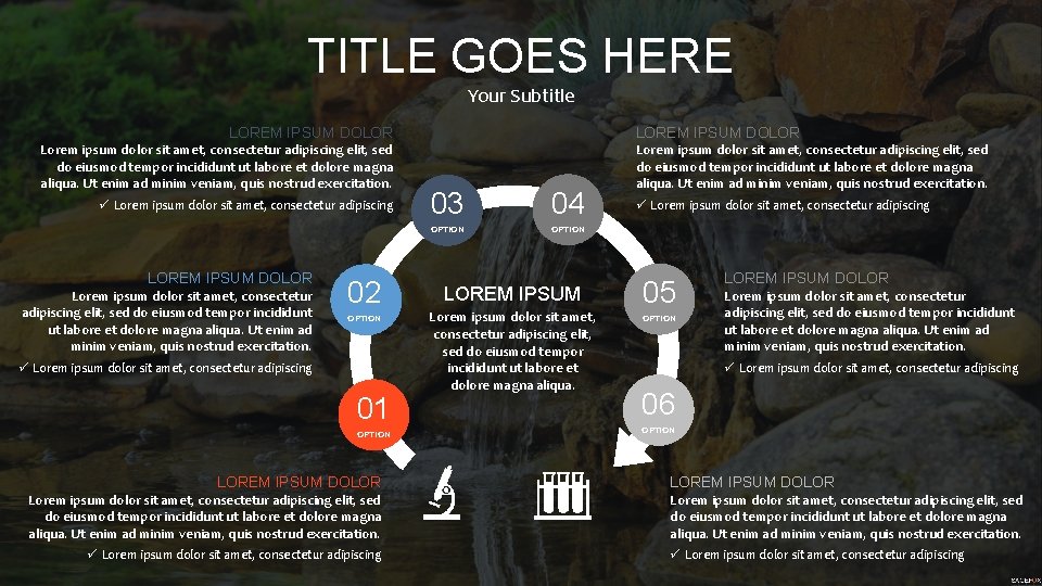 TITLE GOES HERE Your Subtitle LOREM IPSUM DOLOR Lorem ipsum dolor sit amet, consectetur