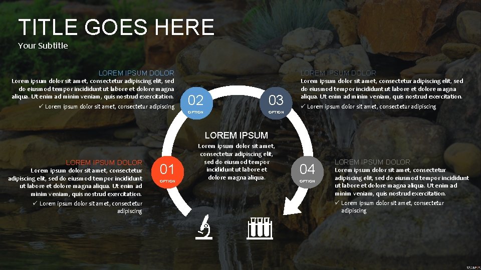 TITLE GOES HERE Your Subtitle LOREM IPSUM DOLOR Lorem ipsum dolor sit amet, consectetur